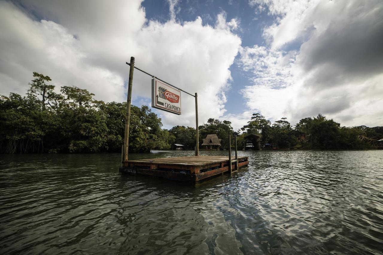 Hotel Casa Perico Rio Dulce By Eksteriør billede